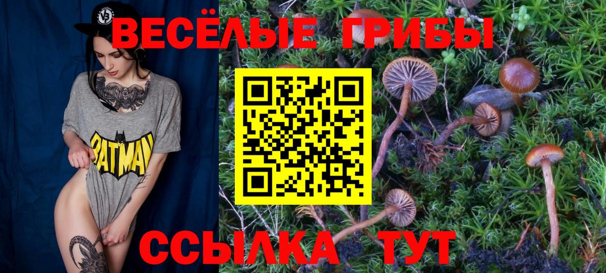 Псилоцибиновые грибы мицелий  Галлюциногенные грибы Magic Shrooms  Вход с VPN  Железноводск 